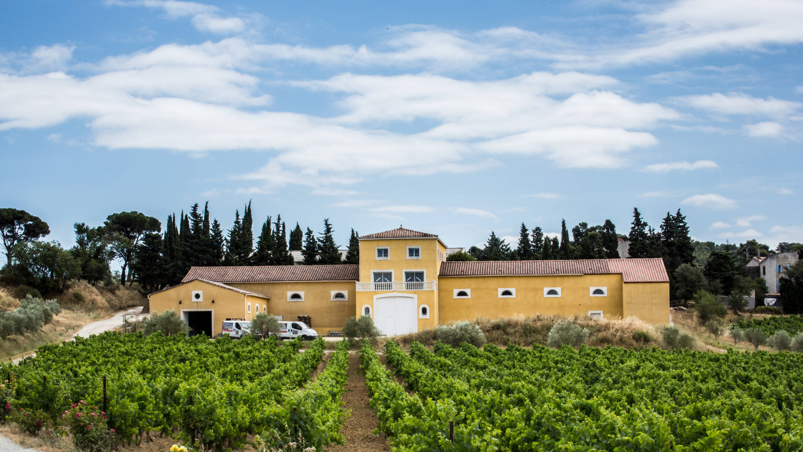 L’investissement dans la viniculture